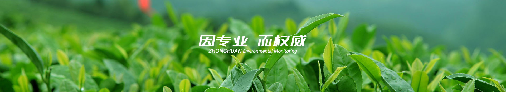 中环检测成功案例