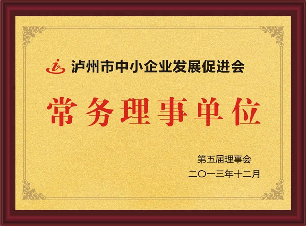 泸州市中小企业发展促进会常务理事单位