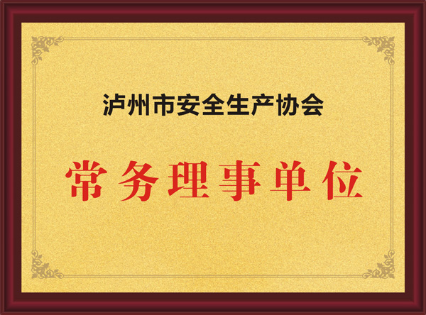 泸州市安全生产协会常务理事单位